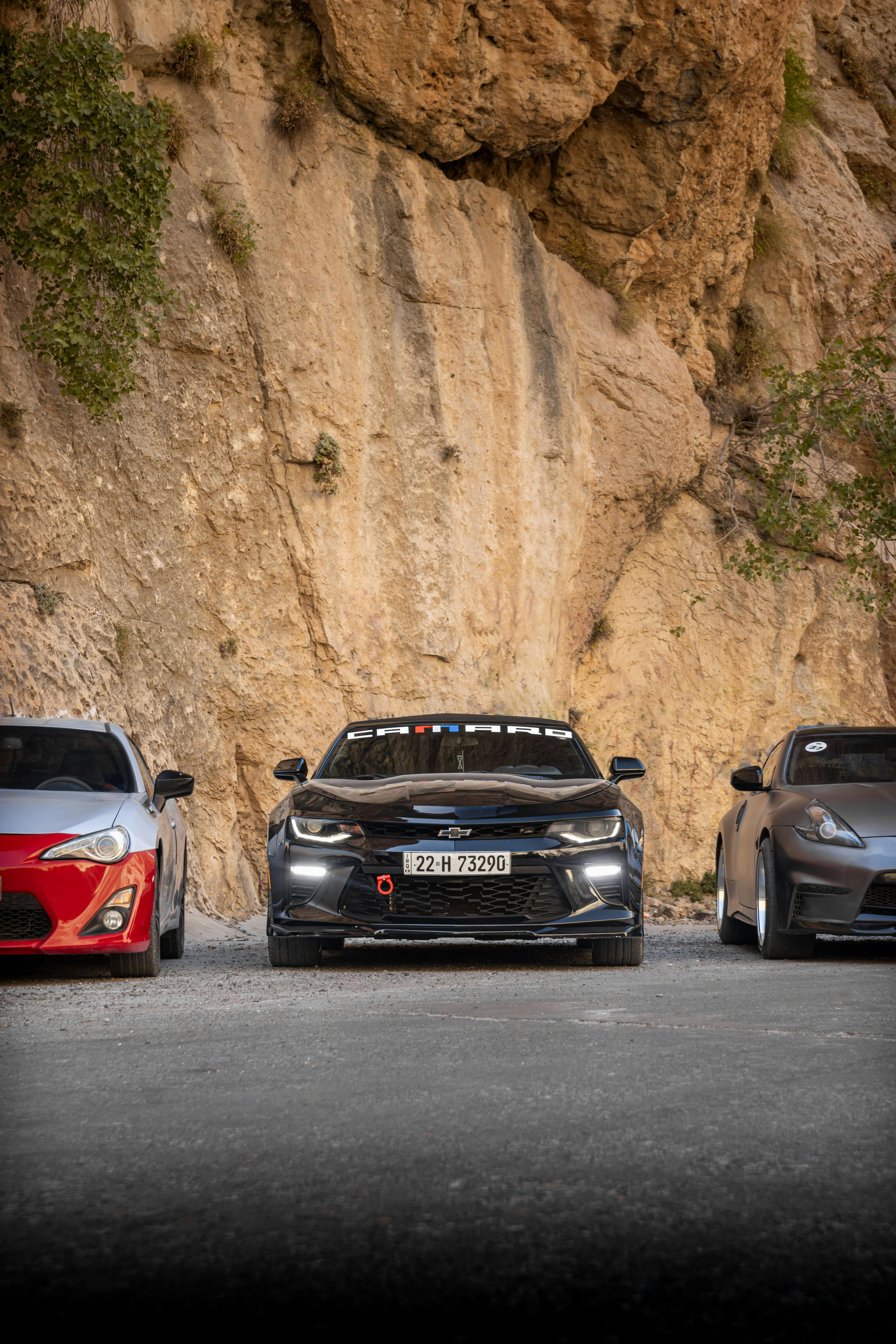 Митница и регистрация